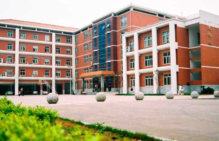 Hunan University